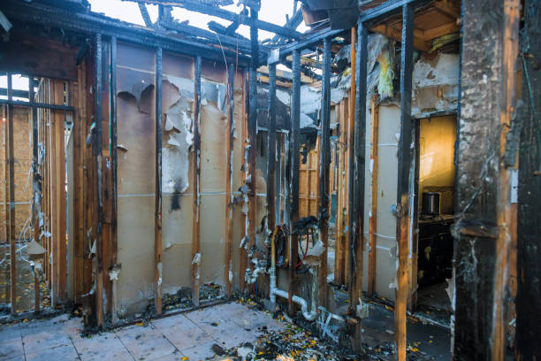 Professional Fire Damage Assessment technician working in Castle Rock, WA